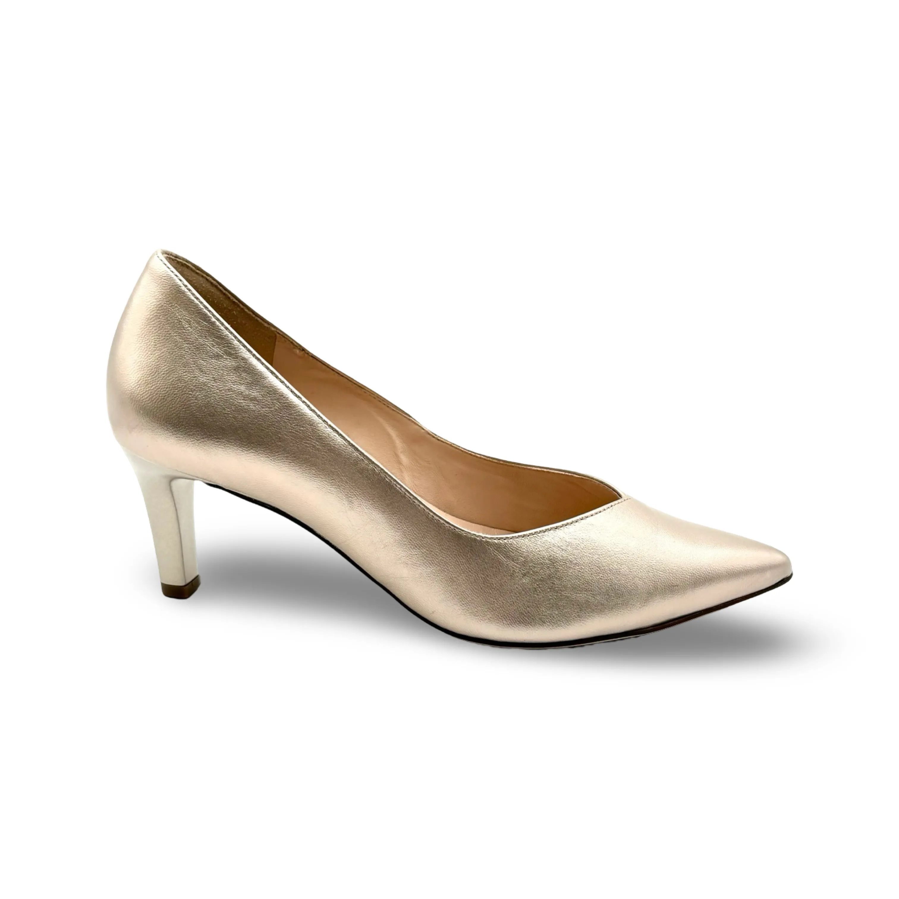 176701 Gold Boulevard 60 Pump
