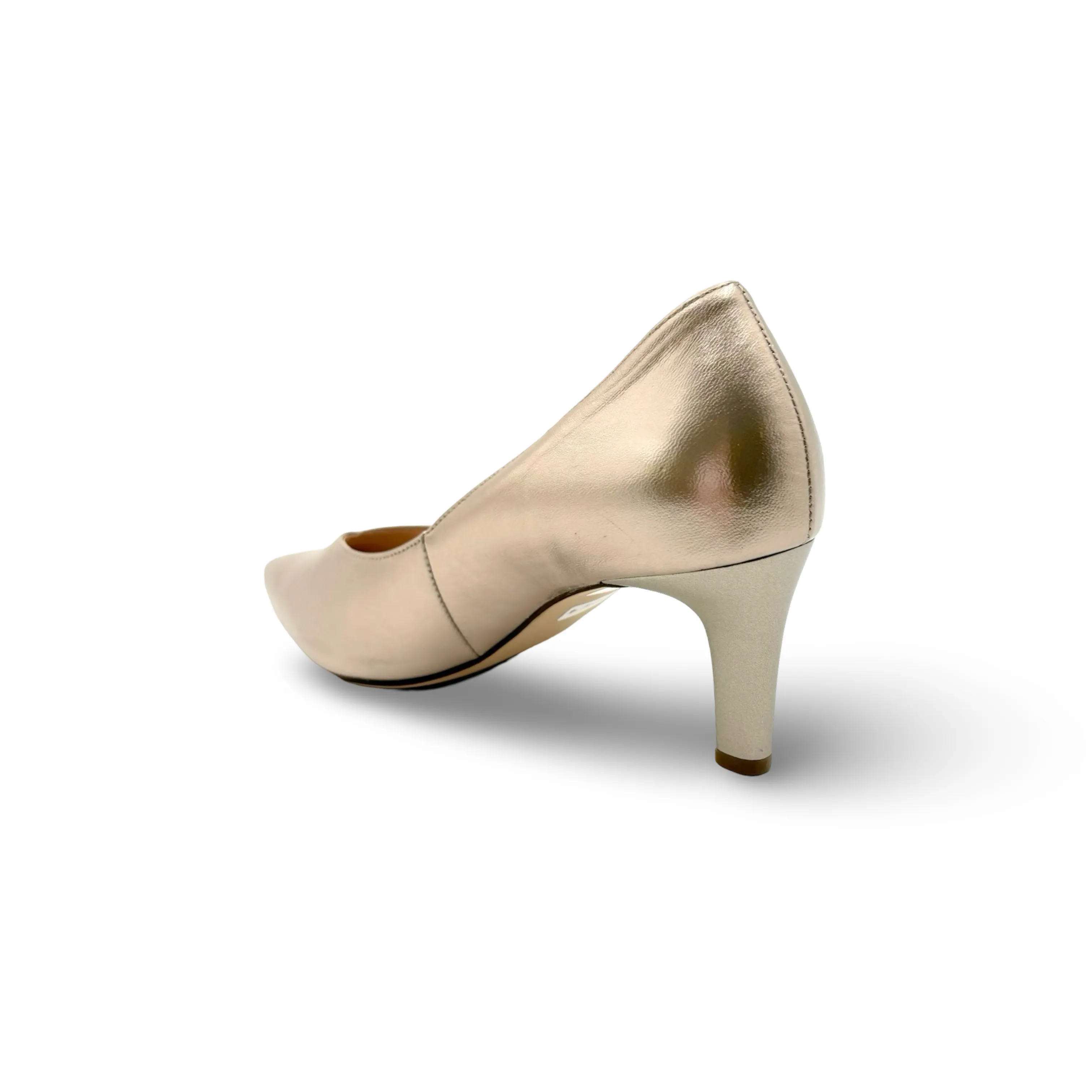 176701 Gold Boulevard 60 Pump