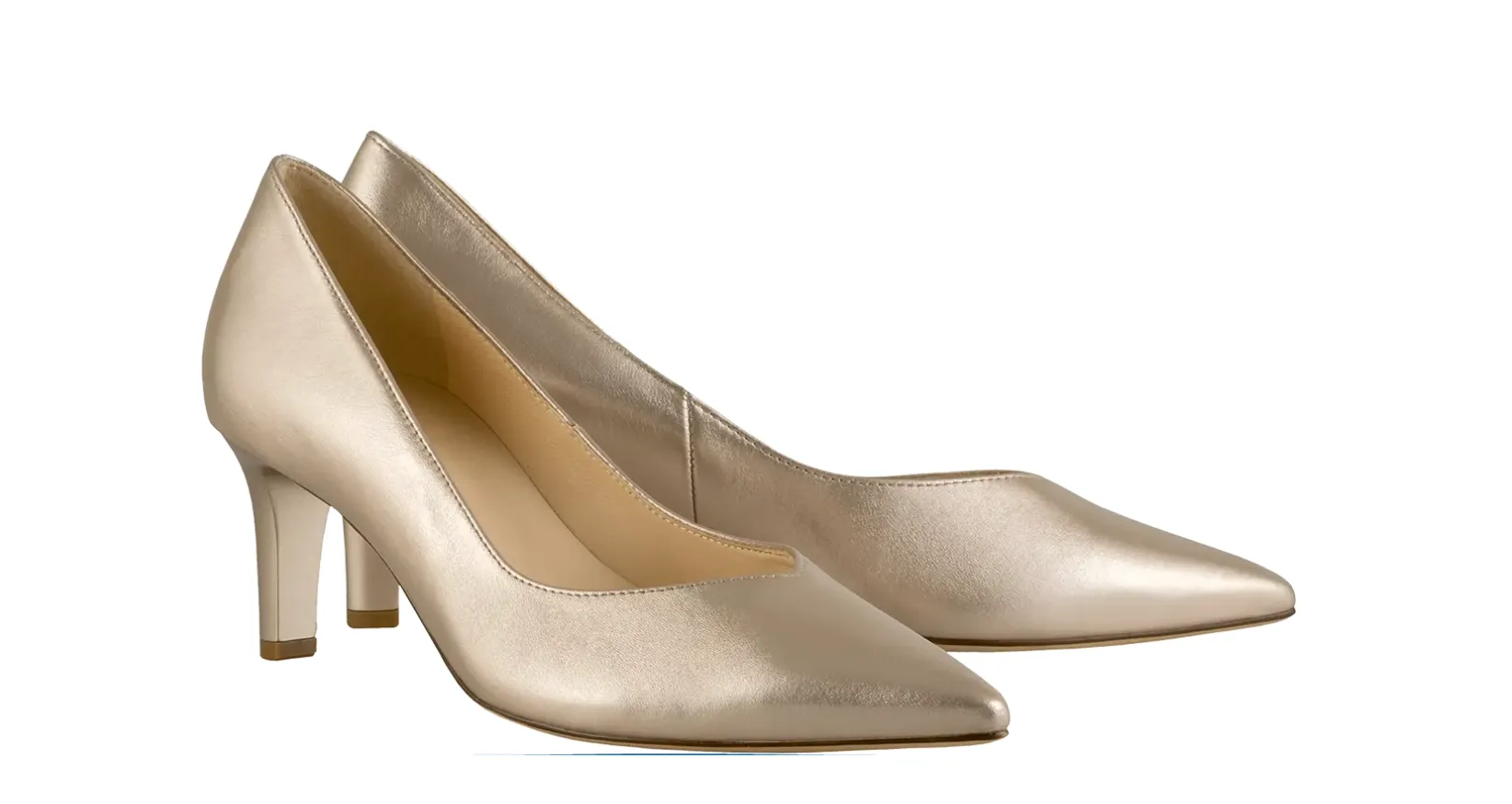 176701 Gold Boulevard 60 Pump