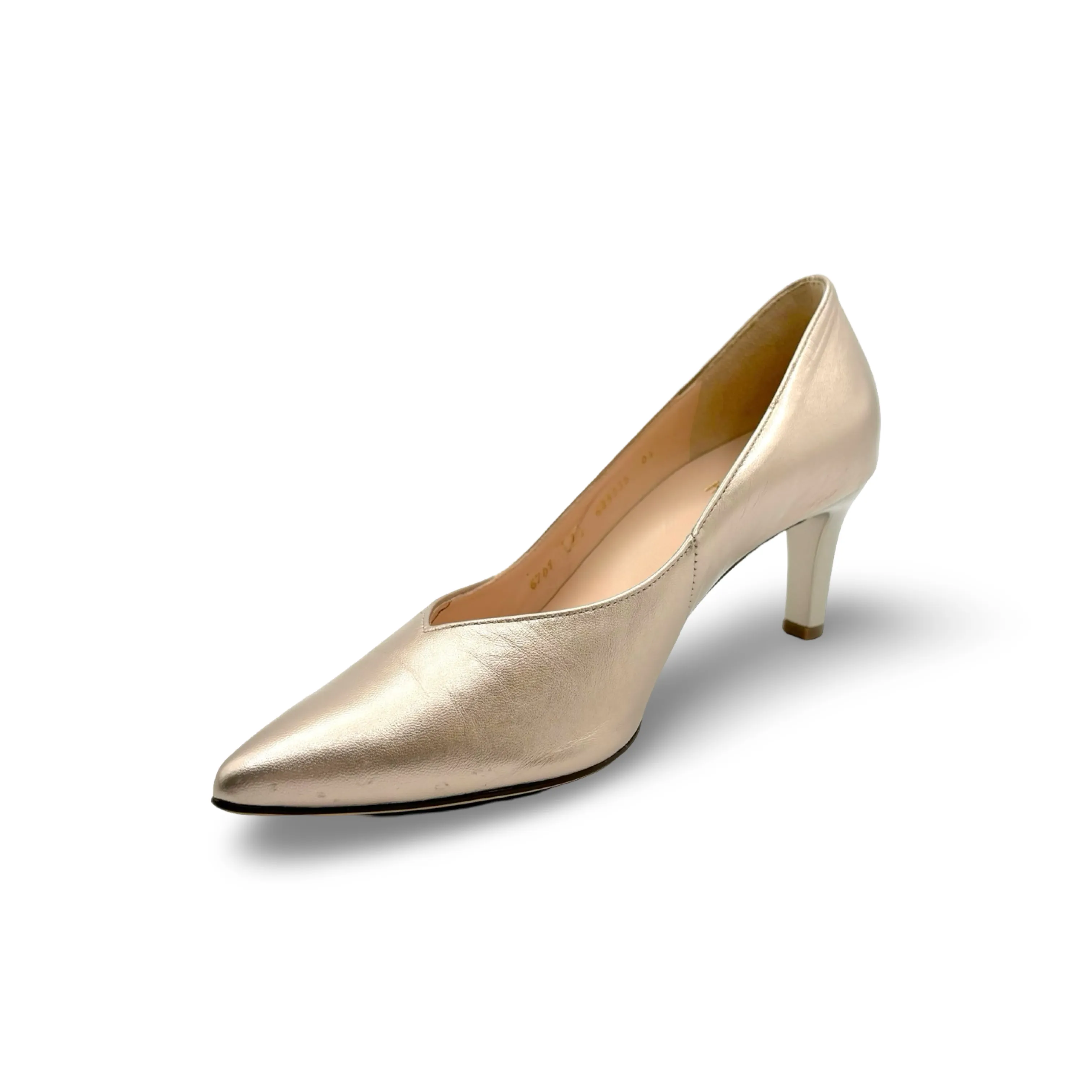 176701 Gold Boulevard 60 Pump