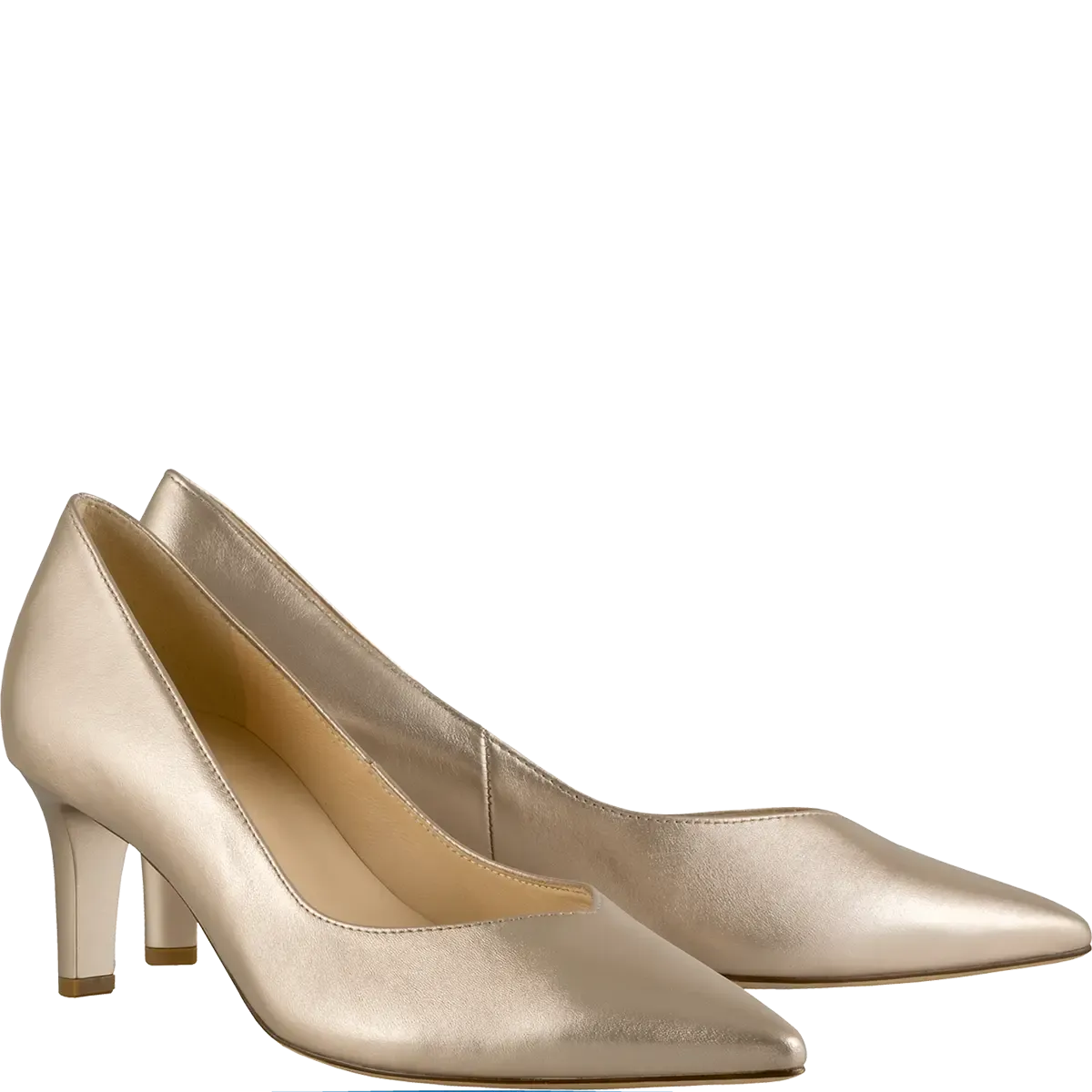 176701 Gold Boulevard 60 Pump