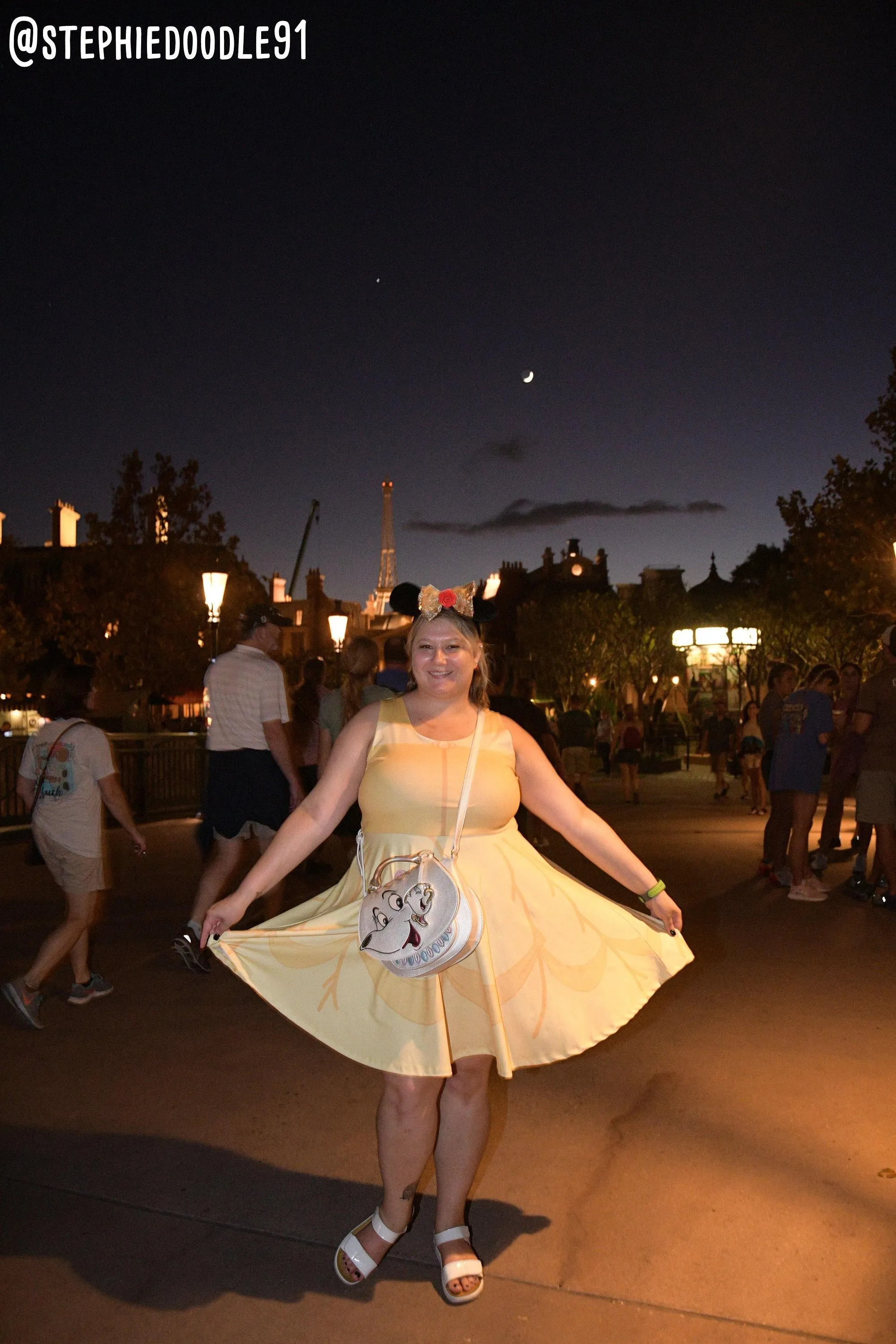Belle  Inspired Skater Dress