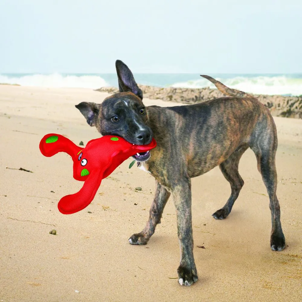 Kong Belly Flops™ Lobster